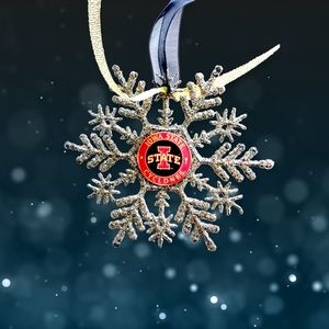 Iowa State CYCLONES Handmade Snowflake *NEW*